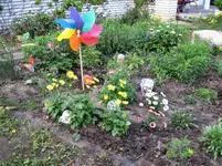 img_0355.webp img_0355.webp