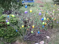 img_0357.webp img_0357.webp