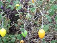 img_0356.webp img_0356.webp