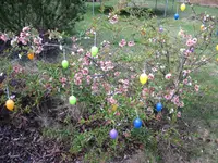 img_0358.webp img_0358.webp