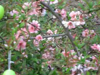 img_0359.webp img_0359.webp