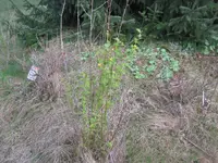 img_0361.webp img_0361.webp