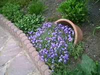 Topf3.webp