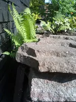 26042011293 Kopie.webp