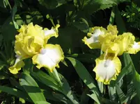 IMG_easter_1067x800.webp