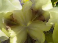 IMG_2192_1067x800.webp