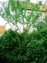 30.04.2011 020.webp
