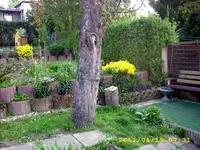 JD500414.webp