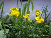 JD500444.webp