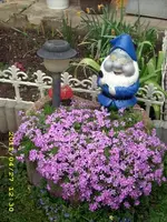 JD500445.webp