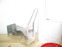 Mausefalle 2.webp