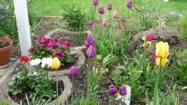 K800_29.04.2011 071.webp