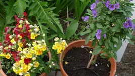 K800_29.04.2011 075.webp