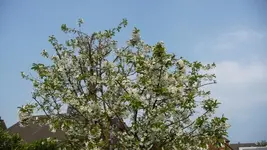 K800_29.04.2011 076.webp