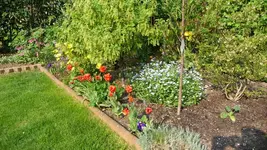 K800_29.04.2011 077.webp