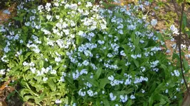 K800_29.04.2011 084.webp