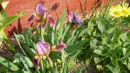 K800_29.04.2011 085.webp