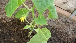 K800_29.04.2011 092.webp