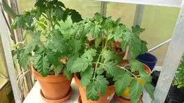 K800_29.04.2011 093.webp