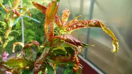 K800_29.04.2011 082.webp