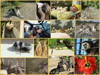 April 2011 1v.webp