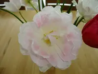 DSCF8503.webp