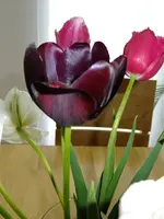 DSCF8505.webp