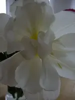 DSCF8514.webp