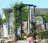 erster Rosenbogen mit Pergola.webp