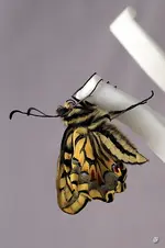 blog_0398.webp