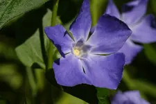 DSC00676(1).webp