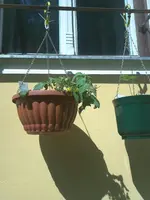 IMG025.webp