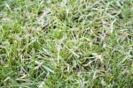IMG_5892.gif