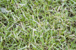 IMG_5893.gif