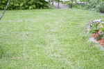 IMG_5894.gif