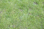 IMG_5896.gif
