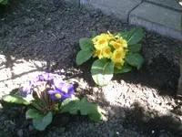 Grab der Kaninchen.01.05.2011.webp