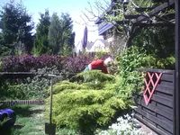 Rasensaat.01.05.2011.webp