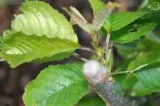 IMG_0576%20%28Large%29.webp