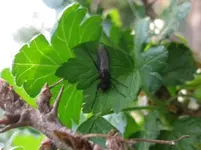 IMG_2853.webp IMG_2853.webp