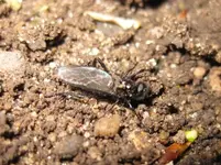 IMG_2859.webp IMG_2859.webp