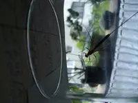 IMGP3657.webp