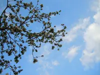 Himmel002.webp