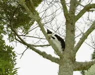 klettern... v (2).webp