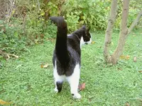 und.....tschuess  vv.webp