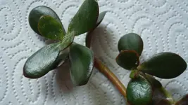 2011 05 02 007.jpg