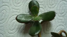 2011 05 02 002.jpg