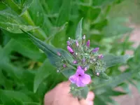k-DSCF0014.webp