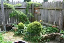 eckbeet.webp
