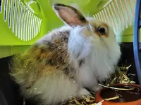 DSC00829.webp